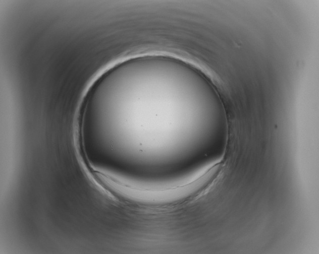 X0000111591518200907301415