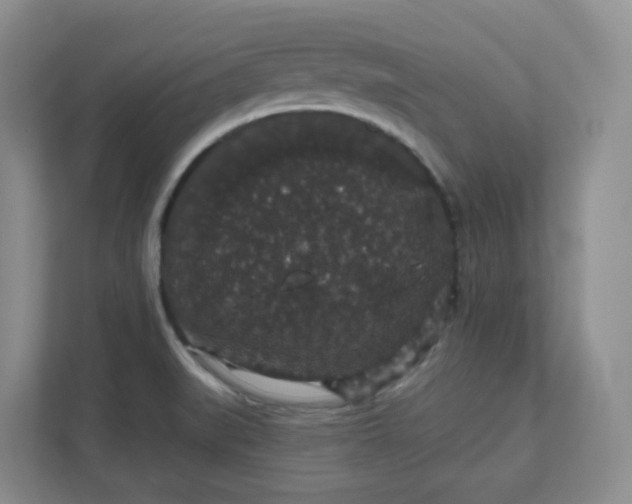 X0000111591519200907301415