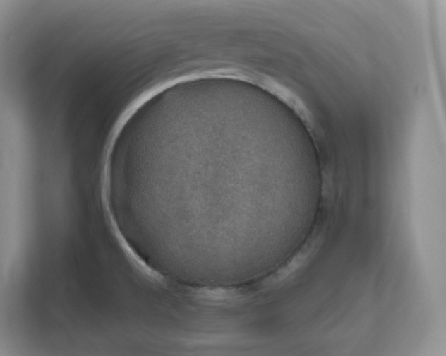 X0000111591520200907301415