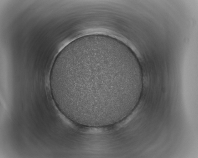 X0000111591521200907301415