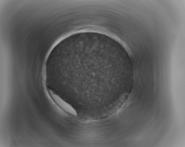 X0000111591522200907301415