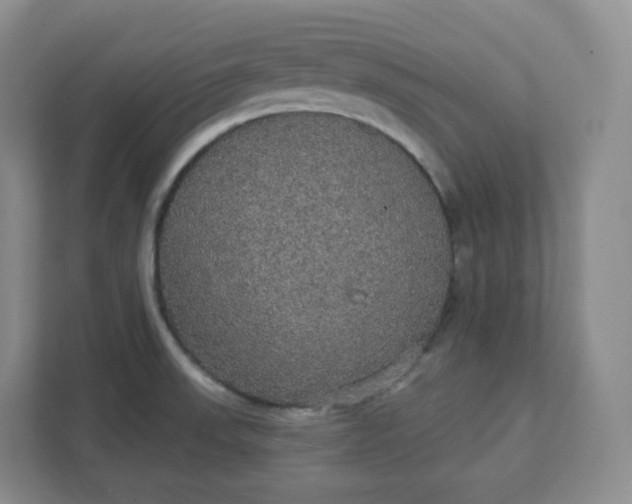 X0000111591523200907301415