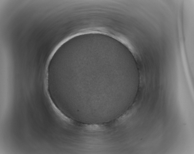 X0000111591524200907301415