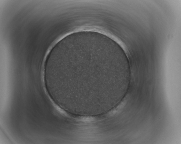 X0000111591525200907301415