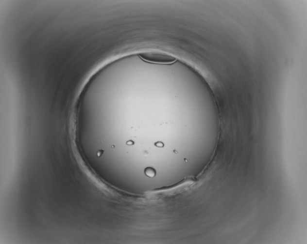 X0000111591526200907301415