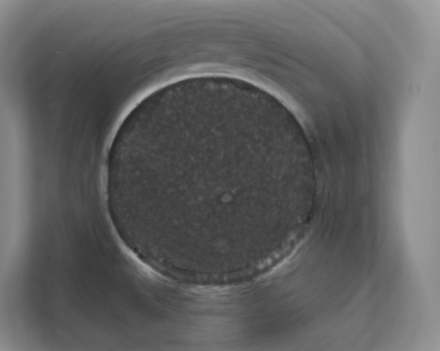 X0000111591527200907301415