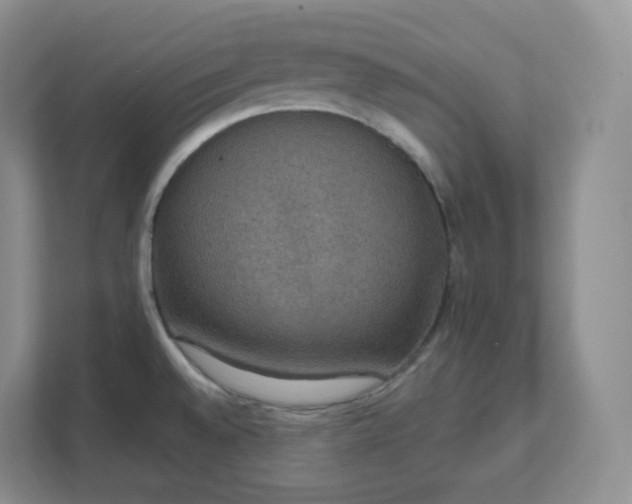 X0000111591528200907301415