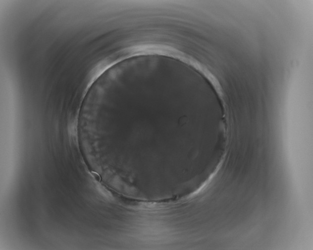 X0000111591529200907301415