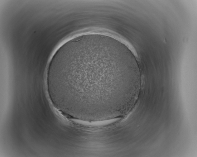 X0000111591530200907301415