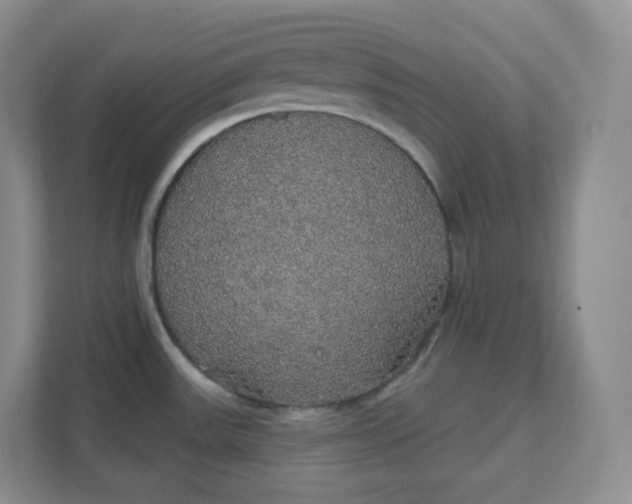 X0000111591531200907301415