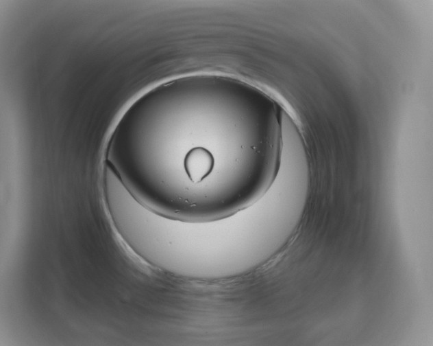 X0000111591532200907301415