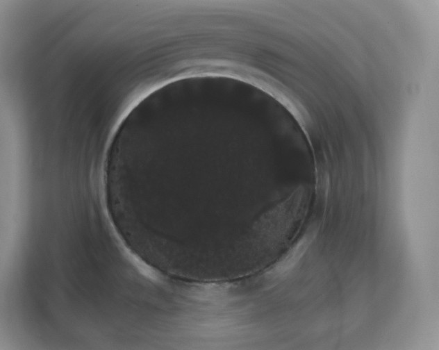 X0000111591533200907301415