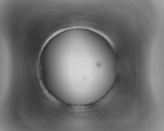 X0000111591534200907301415