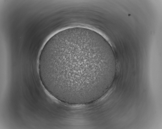 X0000111591535200907301415