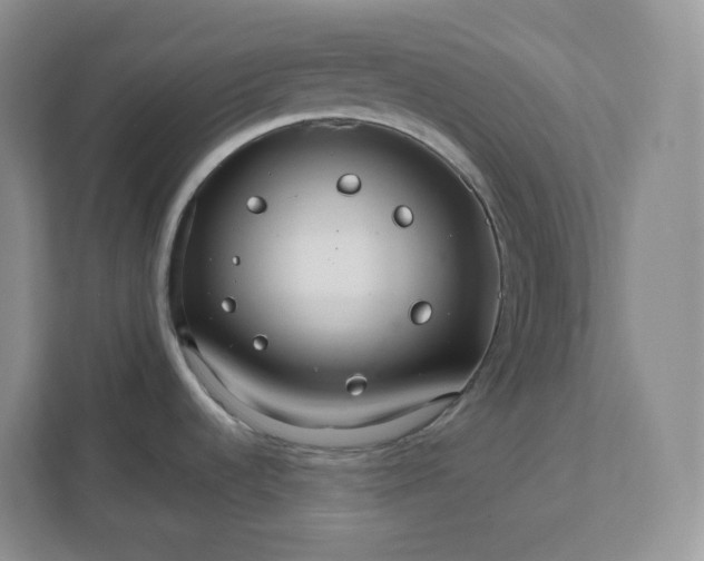 X0000111591536200907301415