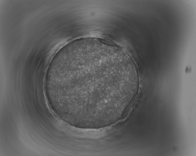 X0000111590001200908061401