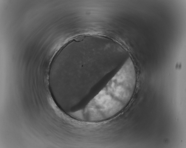 X0000111590002200908061401