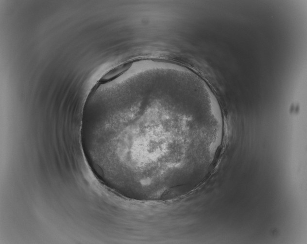 X0000111590003200908061401