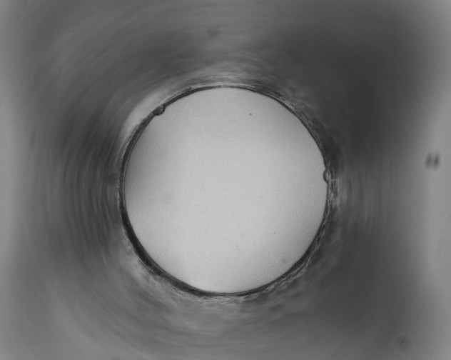 X0000111590004200908061401