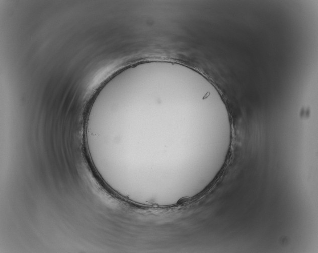 X0000111590005200908061401