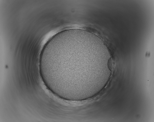 X0000111590006200908061401