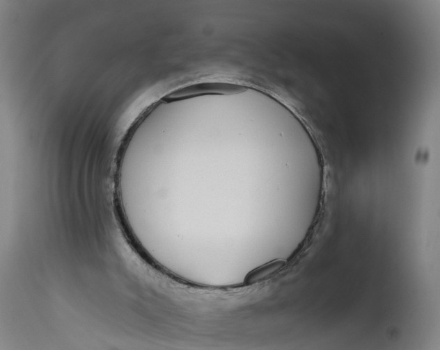 X0000111590007200908061401