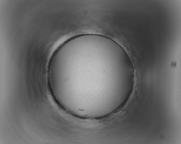 X0000111590008200908061401