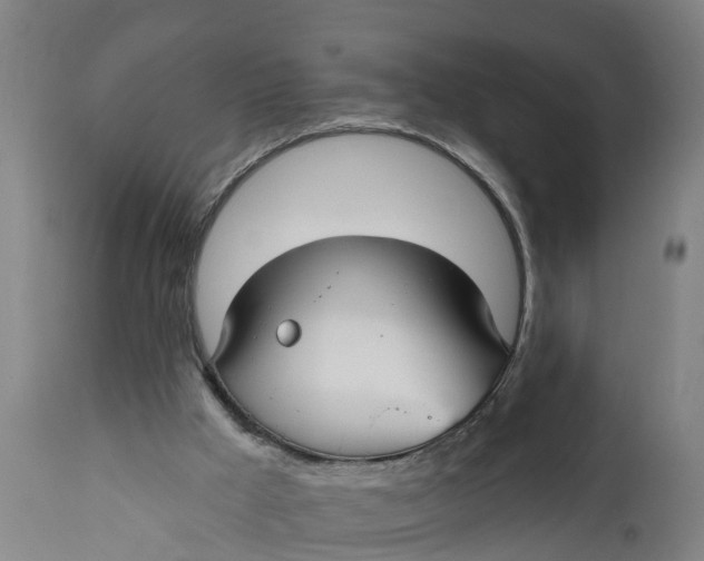 X0000111590009200908061401