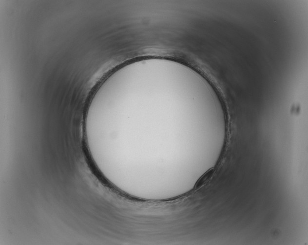 X0000111590011200908061401