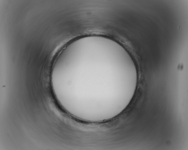 X0000111590012200908061401