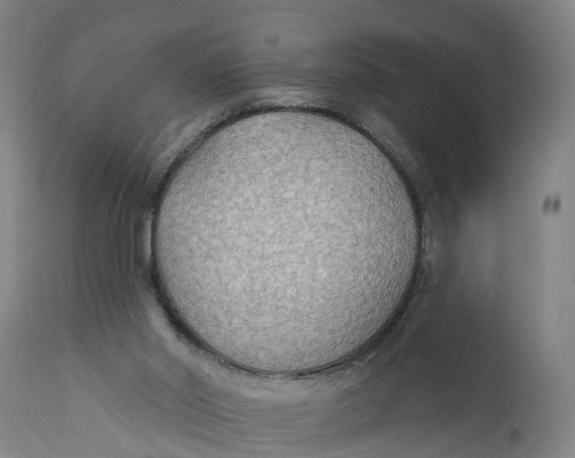 X0000111590014200908061401