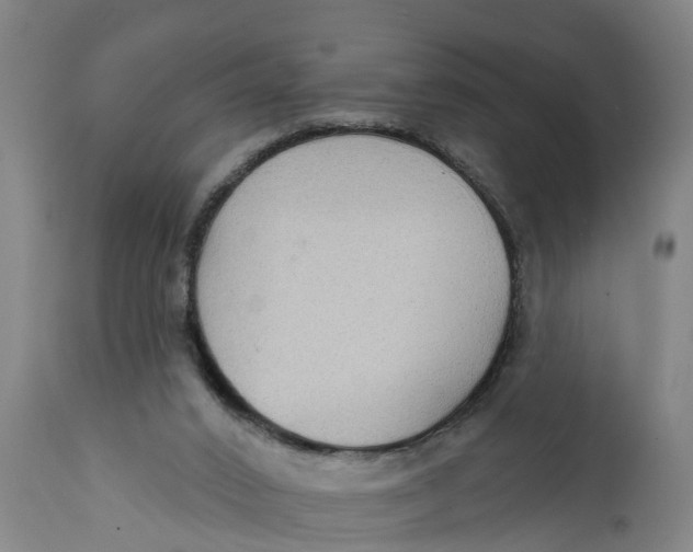 X0000111590016200908061401