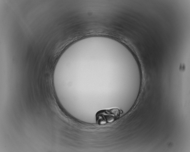 X0000111590017200908061401