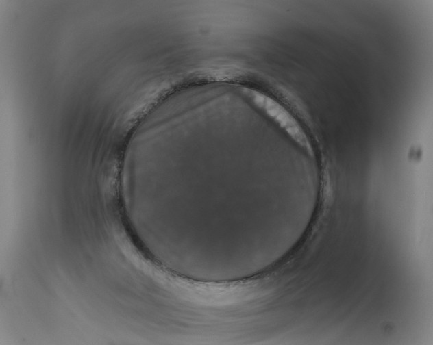 X0000111590018200908061401