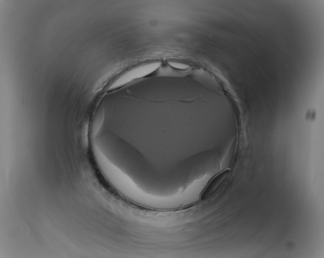 X0000111590019200908061401