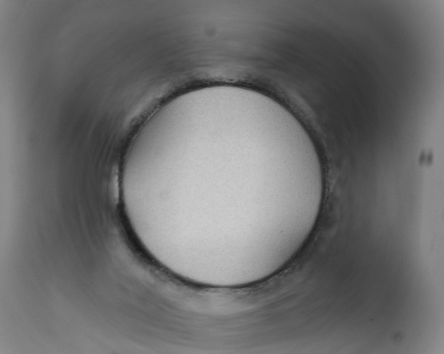 X0000111590020200908061401