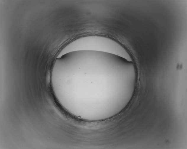 X0000111590021200908061401