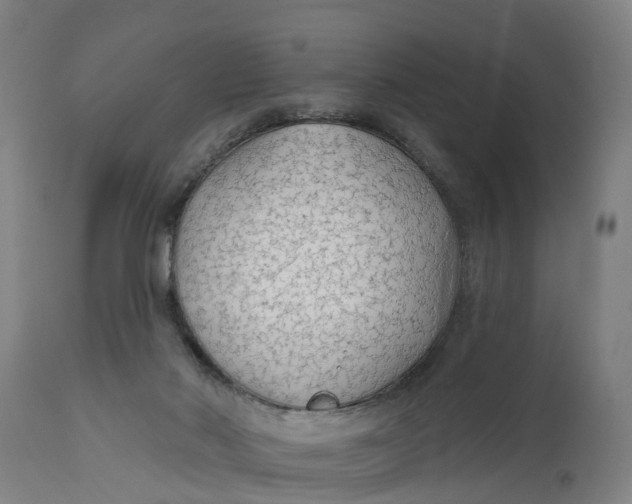 X0000111590022200908061401