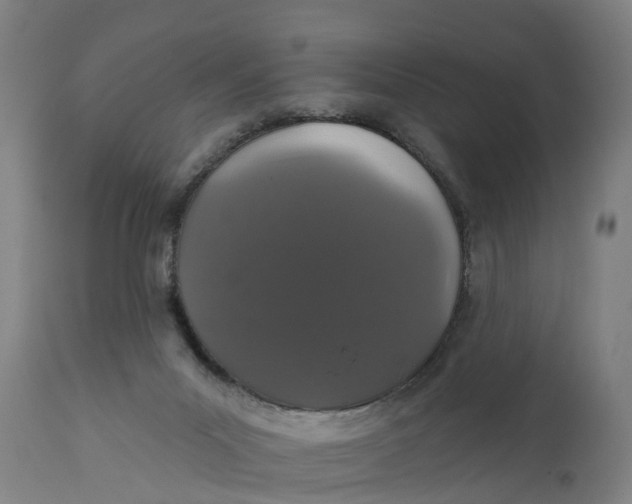 X0000111590023200908061401