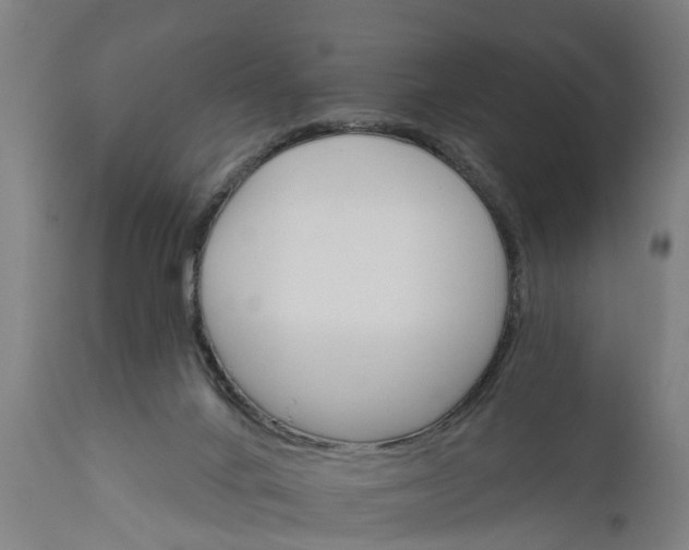 X0000111590024200908061401