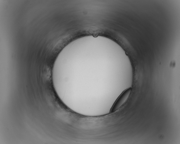 X0000111590025200908061401