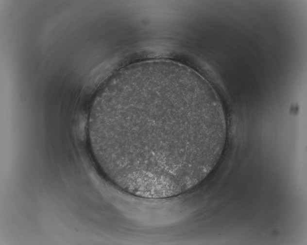 X0000111590026200908061401