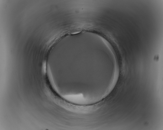 X0000111590027200908061401