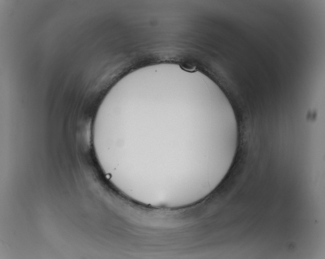 X0000111590028200908061401