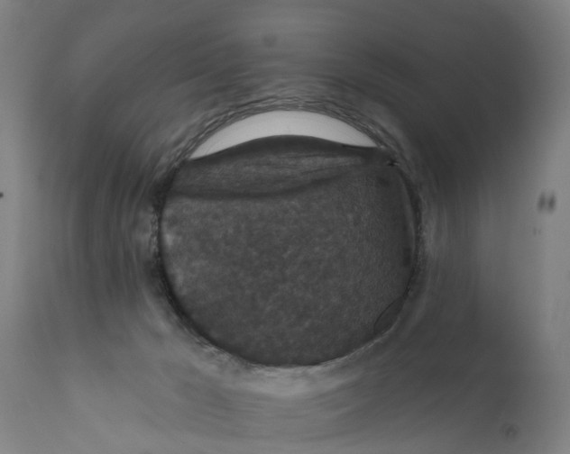 X0000111590029200908061401