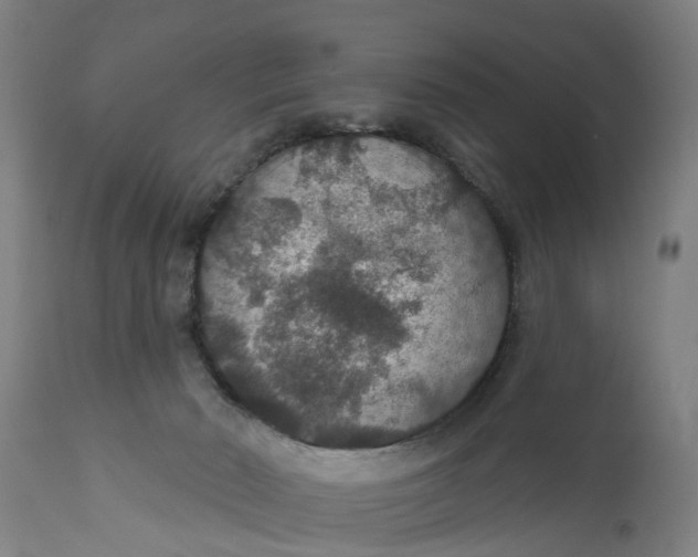 X0000111590030200908061401