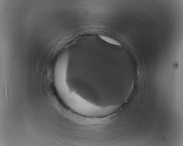 X0000111590031200908061401
