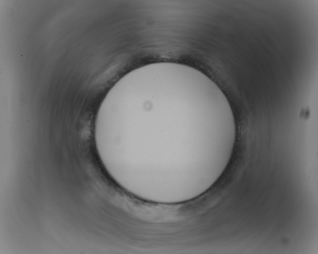 X0000111590032200908061401