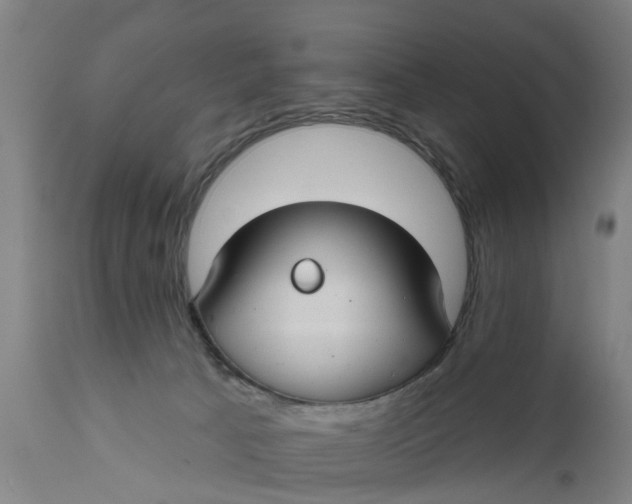 X0000111590033200908061401