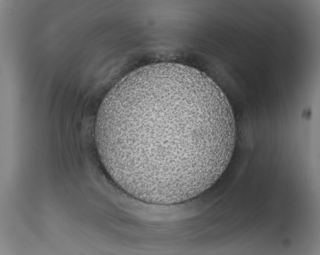 X0000111590034200908061401